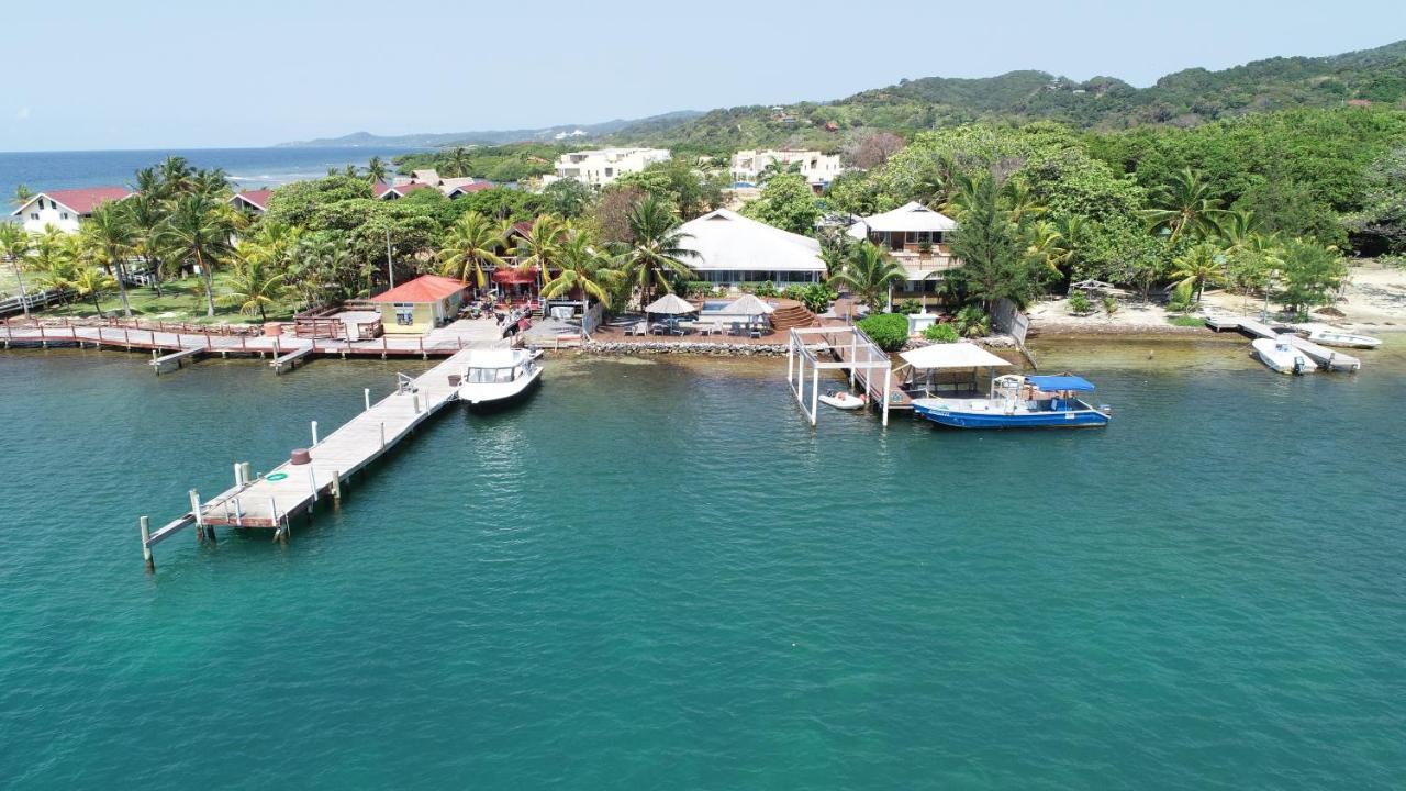Wikkid Resort Dixon Cove Экстерьер фото