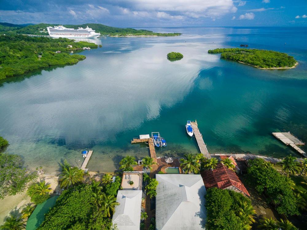 Wikkid Resort Dixon Cove Экстерьер фото
