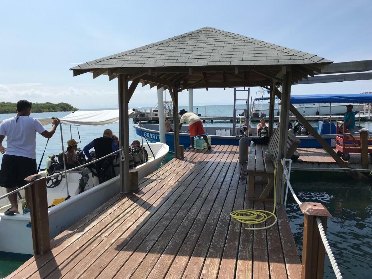 Wikkid Resort Dixon Cove Экстерьер фото